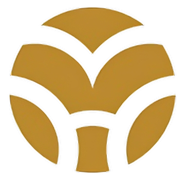 Viet Ha Logo